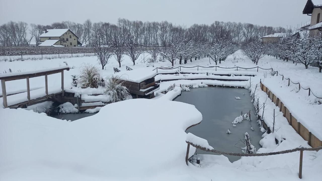 Hotel Casa Danei Brašov Exteriér fotografie